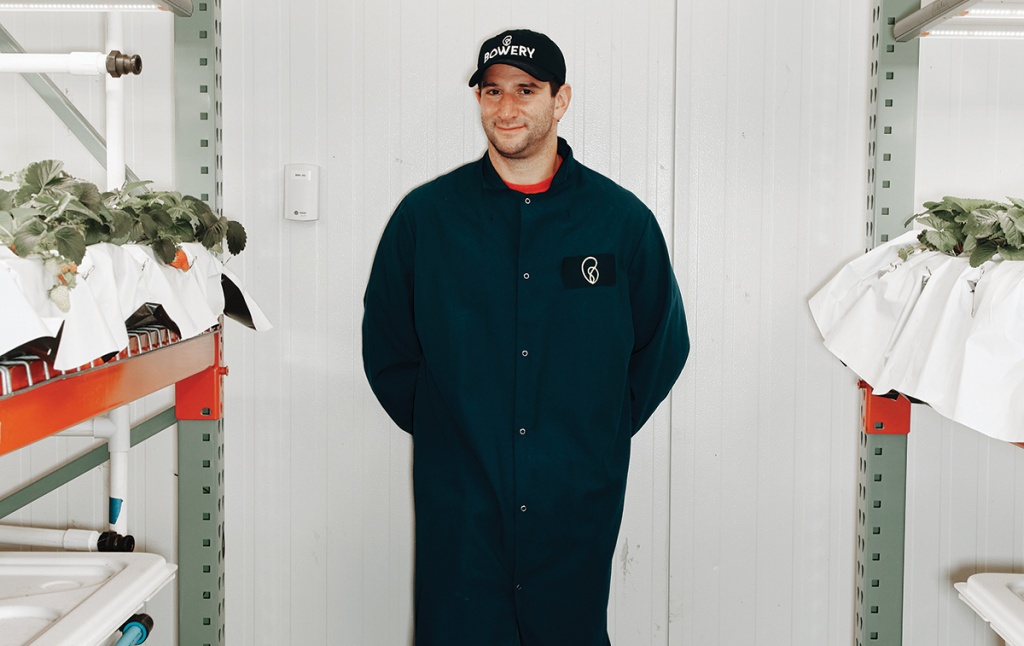 portrait of Irving Fain &rsquo;02